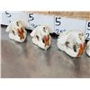 Image 9 : 6 Beaver Skulls Taxidermy