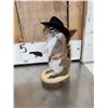 Image 10 : Three Cute Critters Taxidermy Lot