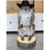 Image 9 : Three Cute Critters Taxidermy Lot