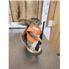 Image 10 : 3 Cute Critters Taxidermy Lot