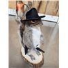 Image 4 : 3 Cute Critters Taxidermy Lot