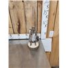 Image 6 : 3 Cute Critters Taxidermy Lot