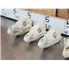 Image 3 : 6 Coyote Skulls Taxidermy