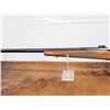 Image 4 : Winchester Model 70 Sporter Varmint 22-250 Bolt Action Rifle