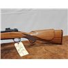 Image 2 : Winchester Model 70 Sporter Varmint 243 Bolt Action Rifle