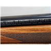 Image 6 : Winchester Model 70 Sporter Varmint 243 Bolt Action Rifle