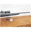 Image 7 : Savage Axis 22-250 Bolt Action Rifle