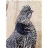 Image 3 : Ruffed Grouse Perched On A Limb Bird Taxidermy
