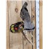Image 4 : Ruffed Grouse Perched On A Limb Bird Taxidermy