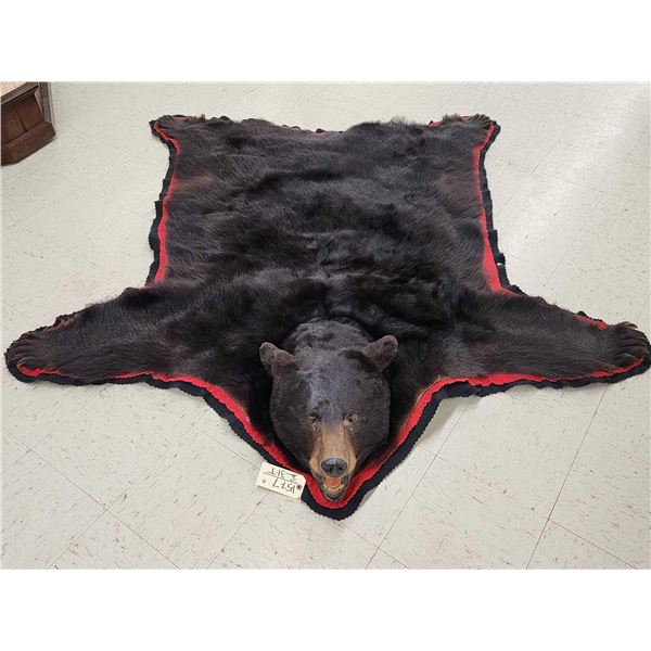 Big Black Bear Rug Taxidermy