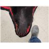 Image 7 : Big Black Bear Rug Taxidermy