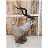 Image 8 : African Kudu Table Top/ Floor Pedestal Taxidermy Mount