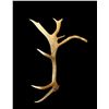 Image 1 : 8.5Lbs Elk Antler With 17" Droptine