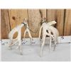 Image 6 : 218 " Whitetail Shed Antlers