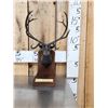 Image 1 : James Stafford Bronze Elk Sculpture Boone & Crockett #2