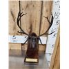 Image 2 : James Stafford Bronze Elk Sculpture Boone & Crockett #2