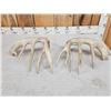 Image 4 : Heavy Mass 188" Whitetail Shed Antlers