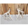 Image 5 : Heavy Mass 201" Whitetail Shed Antlers