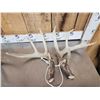 Image 3 : 21.3 Lbs Of Whitetail Shed Antlers