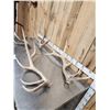 Image 2 : 2 Sets Of Elk Shed Antlers