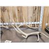 Image 4 : 2 Sets Of Elk Shed Antlers