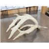Image 4 : Big Double Droptine Whitetail Shed Antler