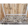 Image 1 : 35 Lbs Of Whitetail Shed Antlers