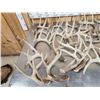 Image 2 : 35 Lbs Of Whitetail Shed Antlers