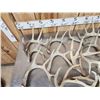 Image 3 : 35 Lbs Of Whitetail Shed Antlers