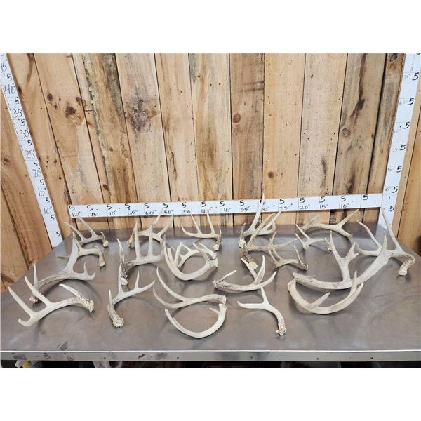 19.4 Lbs Of Deer Antlers