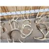 Image 3 : 19.4 Lbs Of Deer Antlers