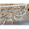Image 5 : 19.4 Lbs Of Deer Antlers
