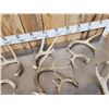 Image 6 : 19.4 Lbs Of Deer Antlers