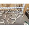 Image 7 : 19.4 Lbs Of Deer Antlers