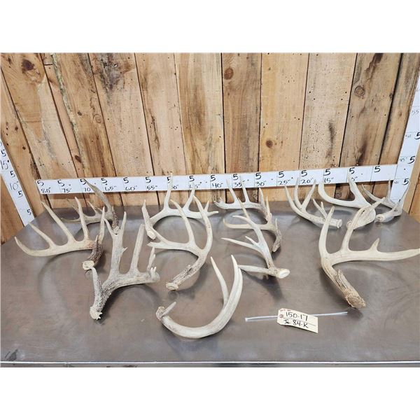 20.2 Lbs Of Whitetail Antlers