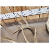 Image 3 : 20.2 Lbs Of Whitetail Antlers