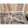 Image 1 : Group Of 5 Elk Shed Antlers