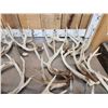 Image 3 : 38.7 Lbs Of Whitetail Shed Antlers