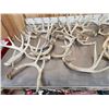 Image 6 : 38.7 Lbs Of Whitetail Shed Antlers