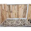 Image 1 : 41.2 Lbs Of Whitetail Antlers