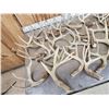 Image 5 : 41.2 Lbs Of Whitetail Antlers