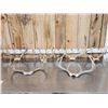 Image 1 : 6 Sets Of Whitetail Antlers On Skull Plate