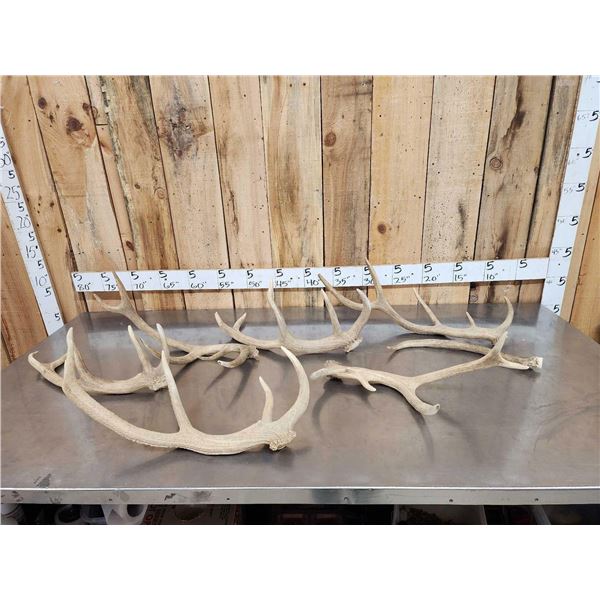13.9 Lbs Of Elk Antlers