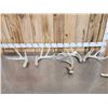 Image 1 : 9.5 Lbs Of Whitetail Shed Antlers
