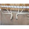 Image 3 : 9.5 Lbs Of Whitetail Shed Antlers