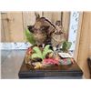Image 2 : Male & Female Ruffed Grouse Full Body Bird Taxidermy