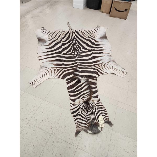 Zebra Soft Tanned Skin