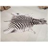Image 2 : Zebra Soft Tanned Skin