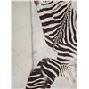 Image 4 : Zebra Soft Tanned Skin