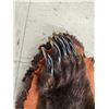 Image 10 : Big Alaskan Costal Brown Bear Rug Taxidermy